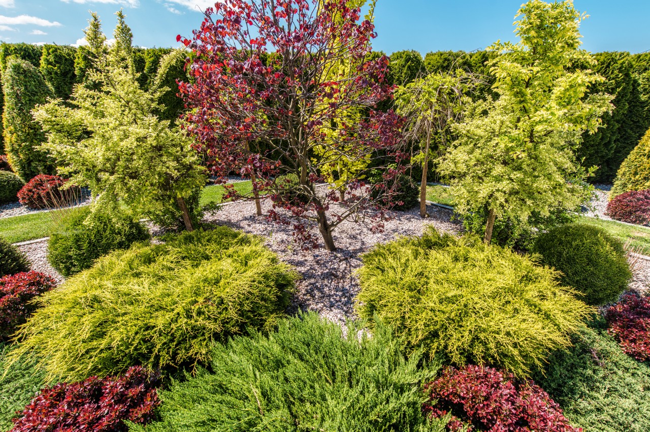 1719056635 467 10 conseils eprouves pour creer un jardin durable et - plare.