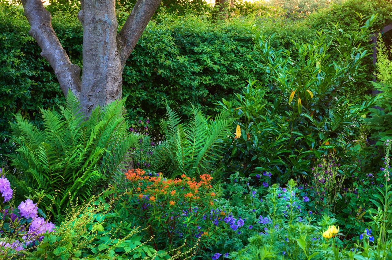 1719056636 846 10 conseils eprouves pour creer un jardin durable et - plare.