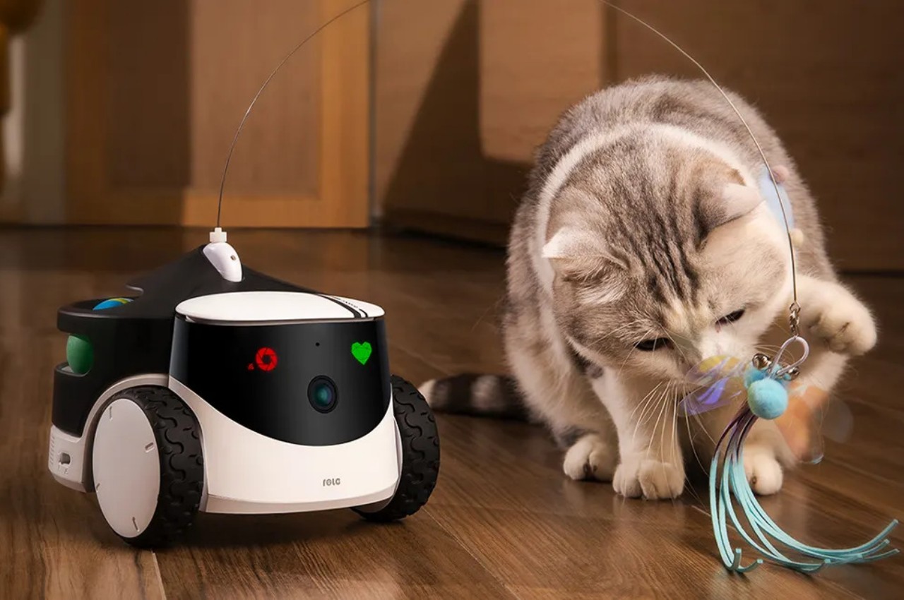 Un robot mignon et modulaire concu pour garder vos - plare.