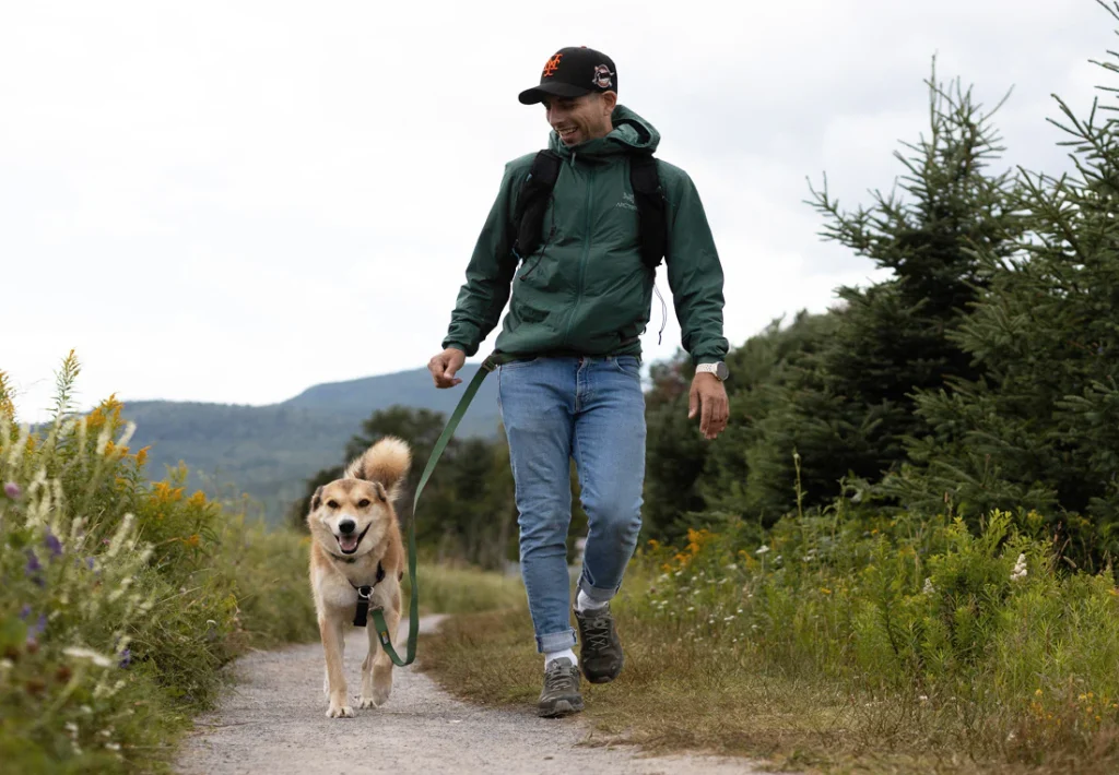 L’utilité d’une laisse mains libres : Révolutionnez vos promenades canines
