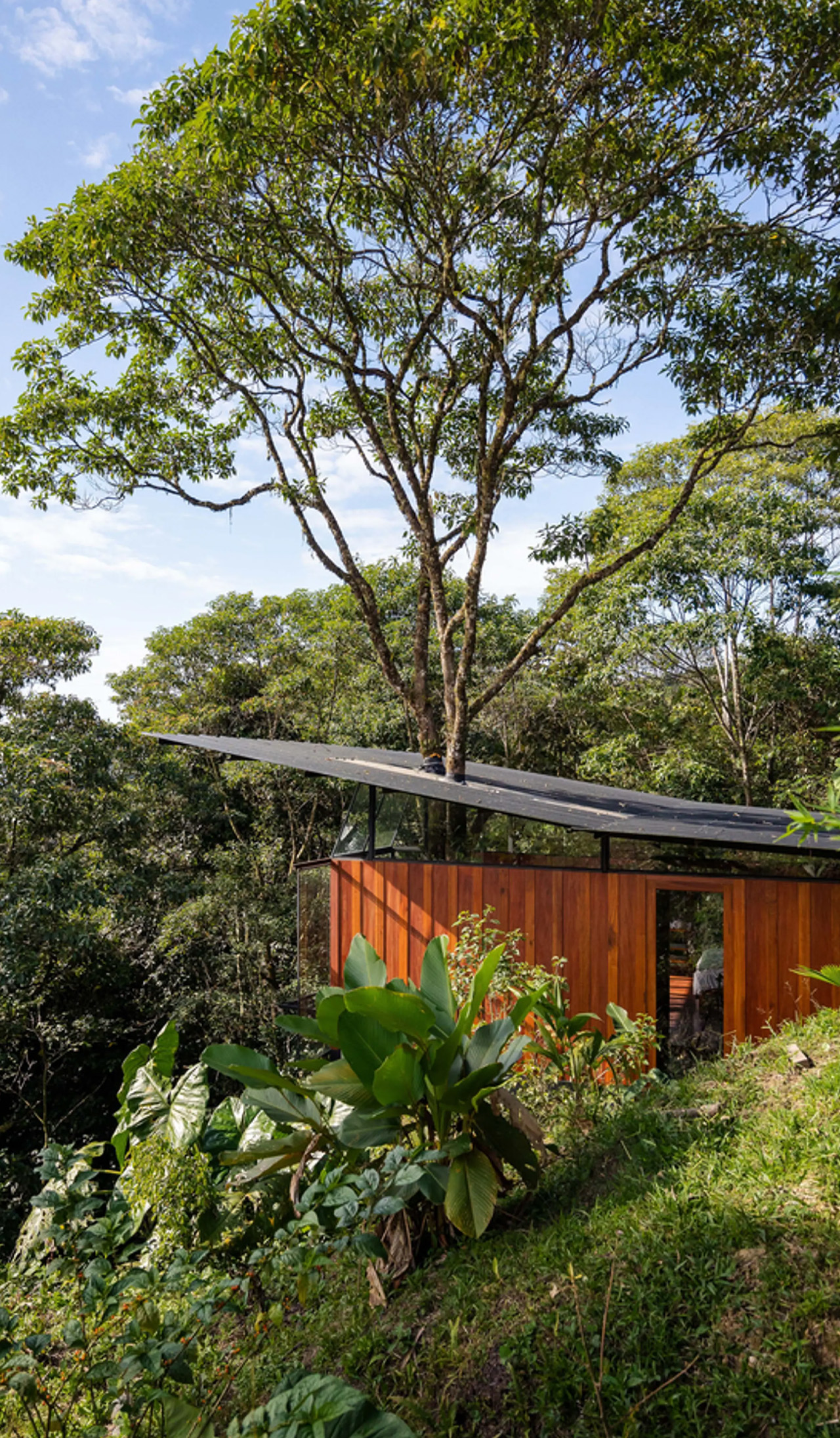 1729998697 403 Ce magnifique lodge de la foret amazonienne est construit autour - plare.