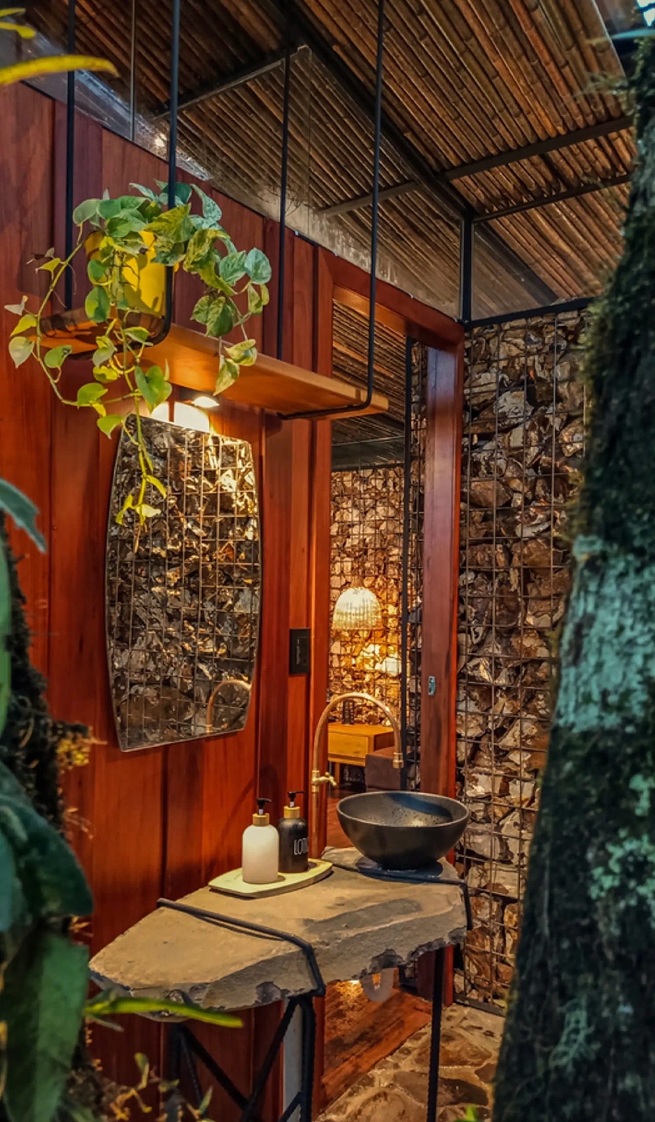 1729998698 153 Ce magnifique lodge de la foret amazonienne est construit autour - plare.