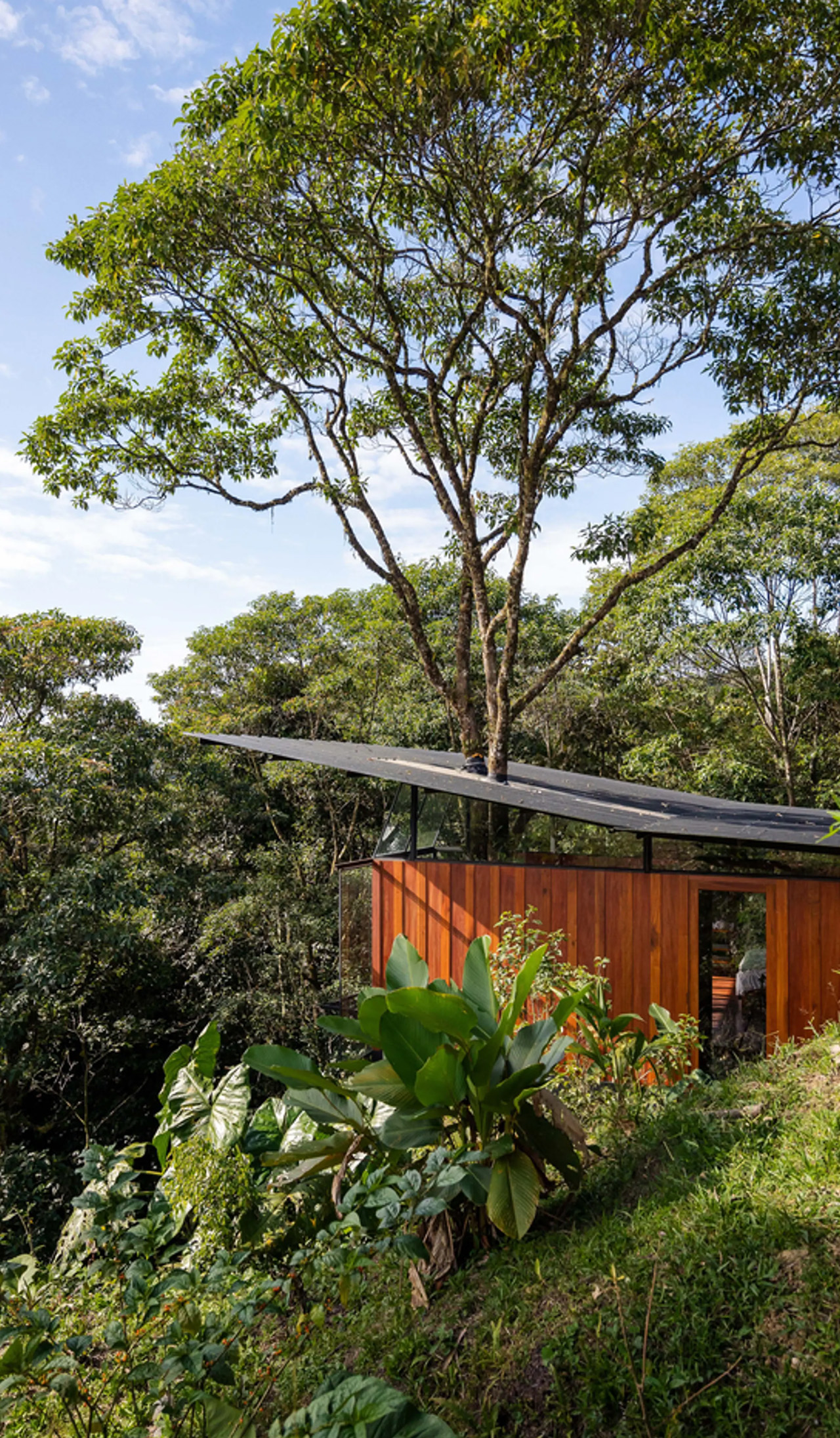 1729998699 109 Ce magnifique lodge de la foret amazonienne est construit autour - plare.