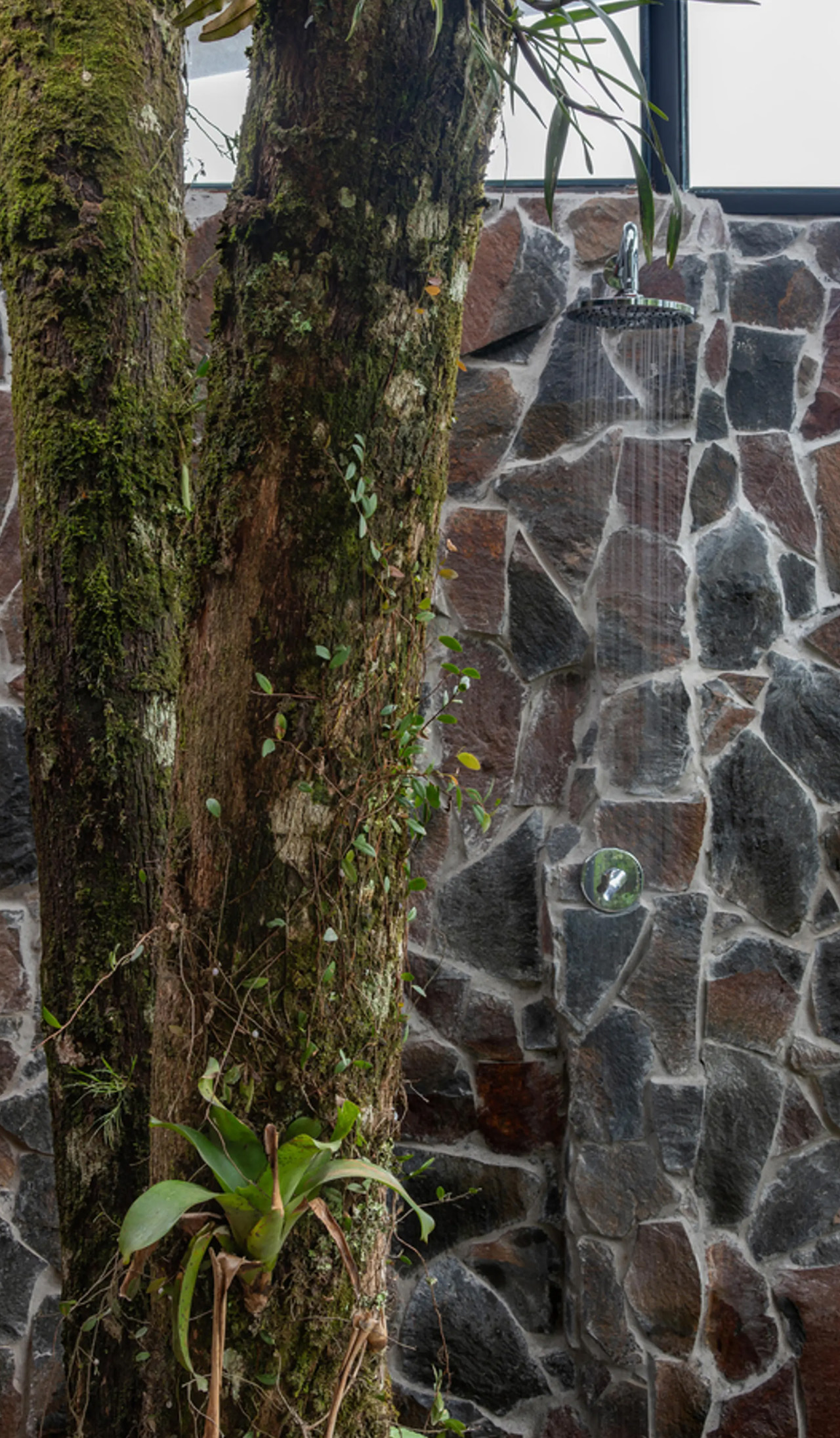 1729998700 980 Ce magnifique lodge de la foret amazonienne est construit autour - plare.