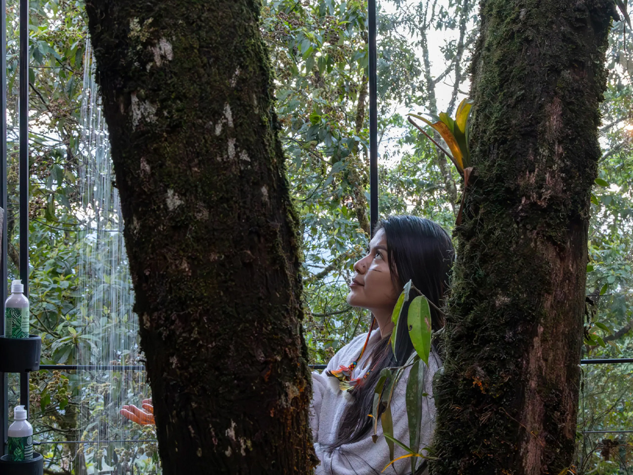 1729998701 356 Ce magnifique lodge de la foret amazonienne est construit autour - plare.