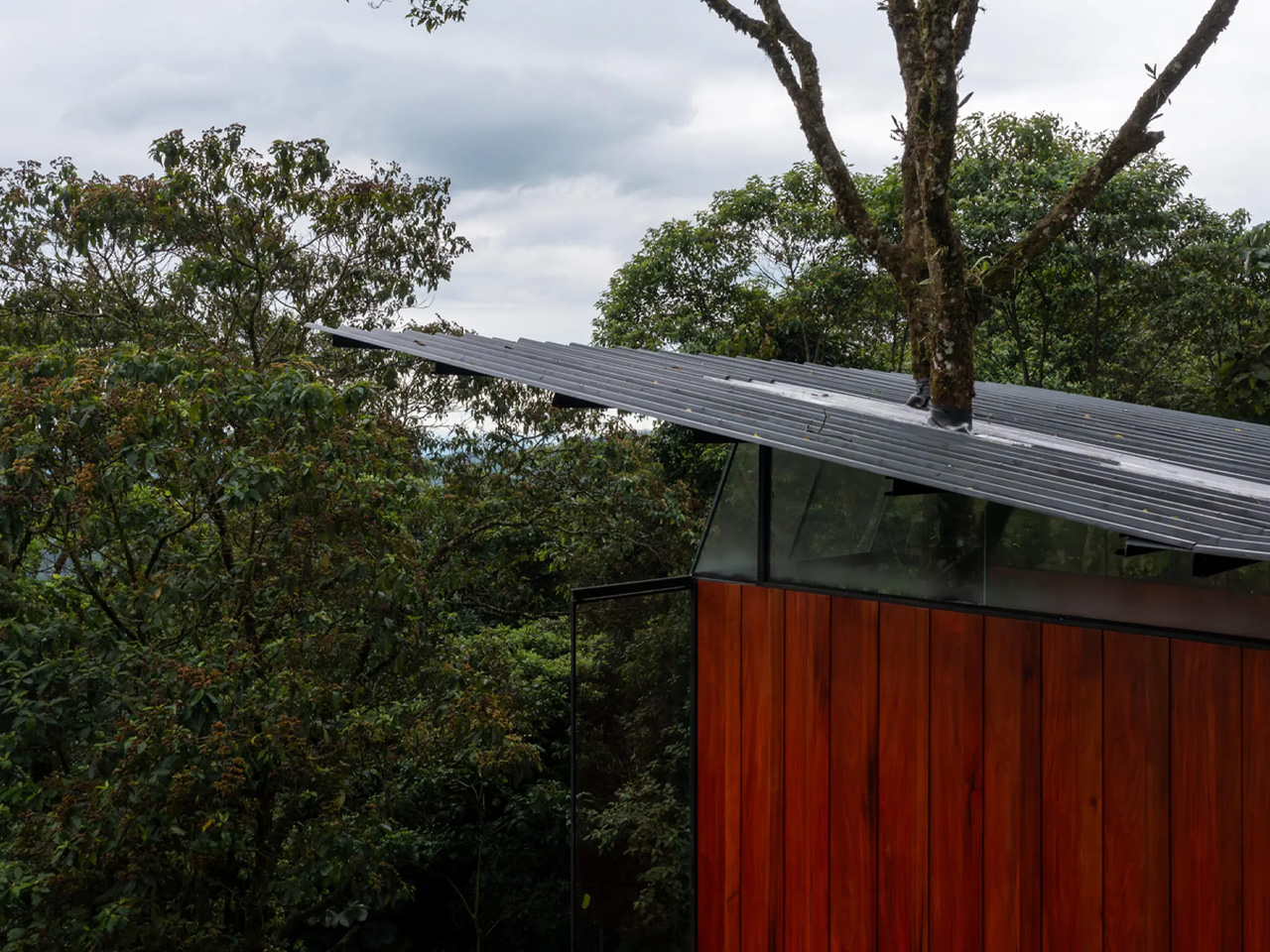 1729998707 866 Ce magnifique lodge de la foret amazonienne est construit autour - plare.