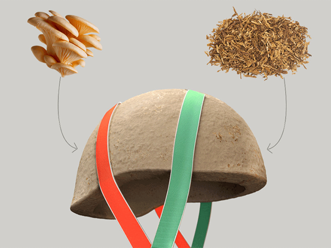 1730215438 587 Pourquoi le mycelium est il le heros durable des materiaux de - plare.