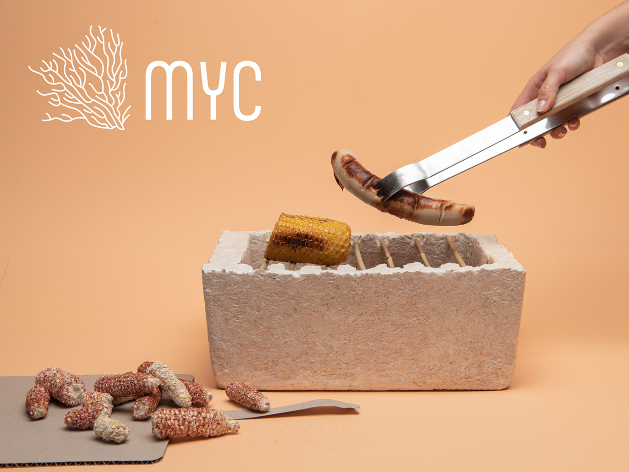 1730215445 990 Pourquoi le mycelium est il le heros durable des materiaux de - plare.