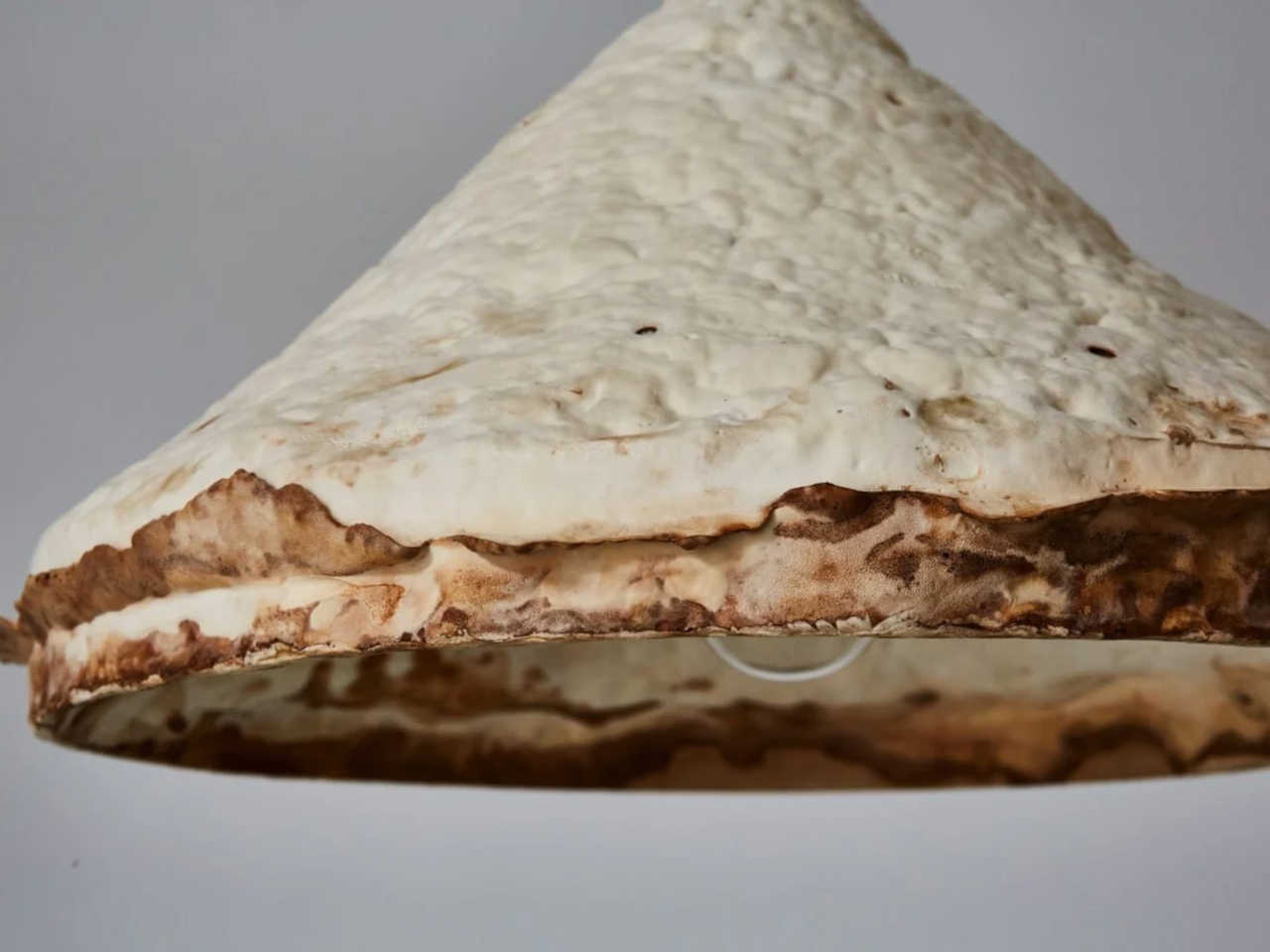 1730215448 713 Pourquoi le mycelium est il le heros durable des materiaux de - plare.