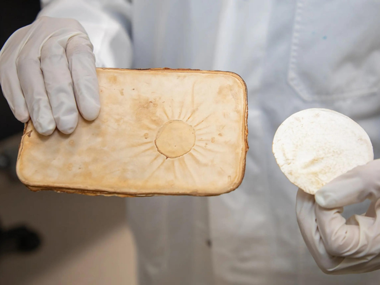 1730215451 100 Pourquoi le mycelium est il le heros durable des materiaux de - plare.