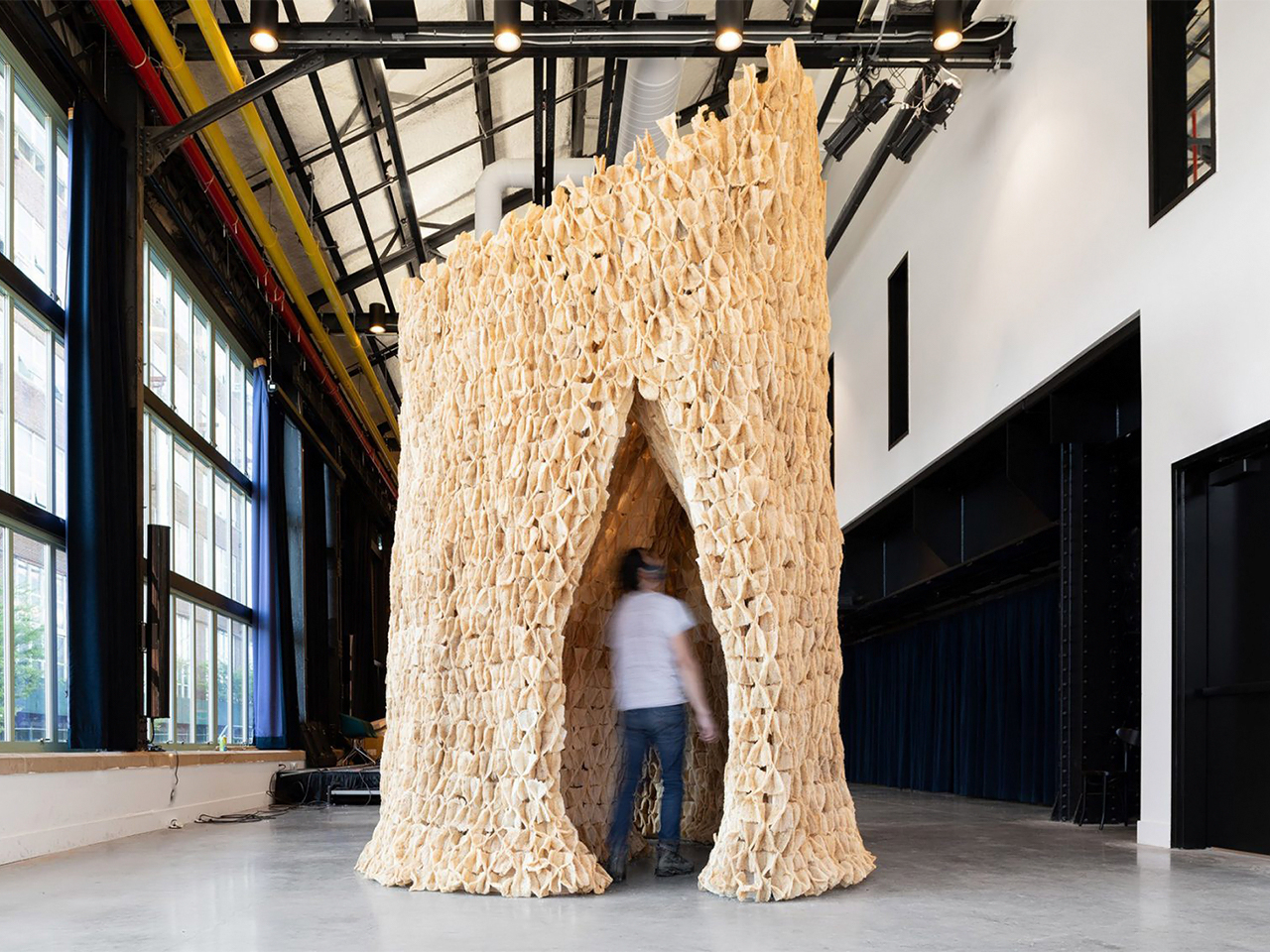 1730215452 895 Pourquoi le mycelium est il le heros durable des materiaux de - plare.
