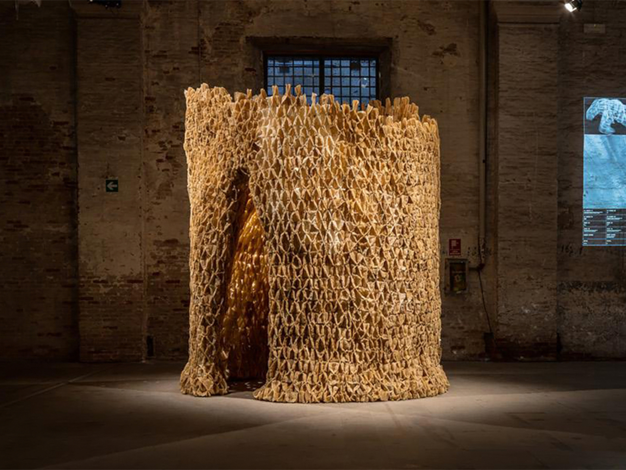 1730215453 994 Pourquoi le mycelium est il le heros durable des materiaux de - plare.