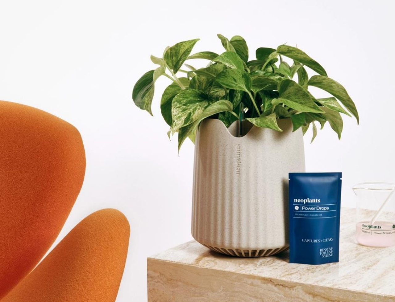 1731577262 92 Respirez facilement 10 mesures et produits efficaces pour purifier - plare.