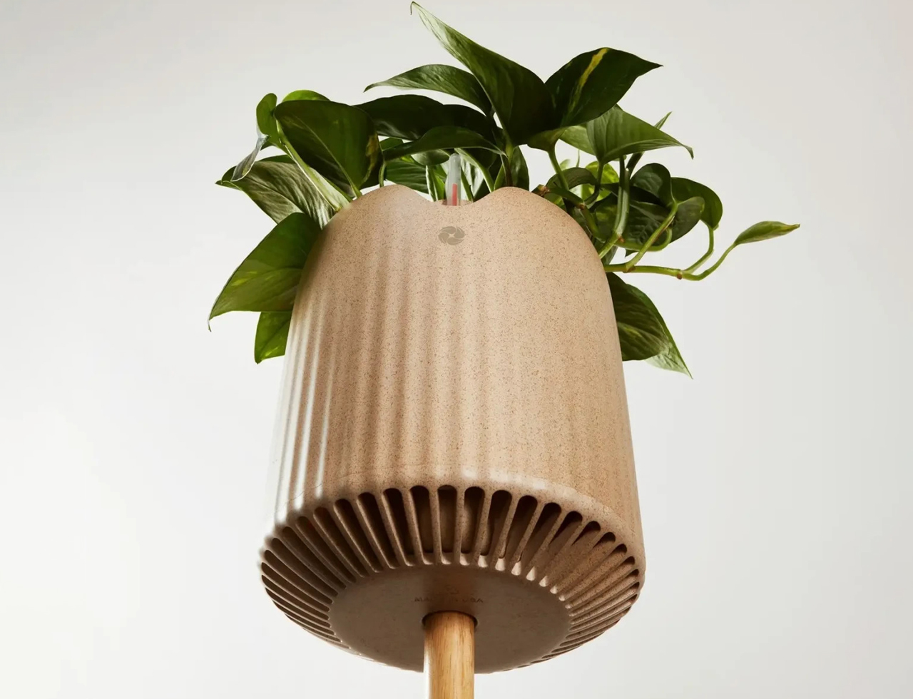 1731577263 414 Respirez facilement 10 mesures et produits efficaces pour purifier - plare.