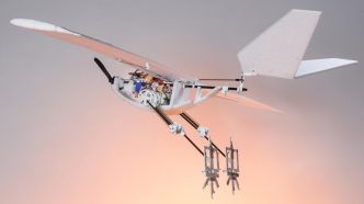 Ce drone inspire dun oiseau franchit les barrieres en marchant - plare.