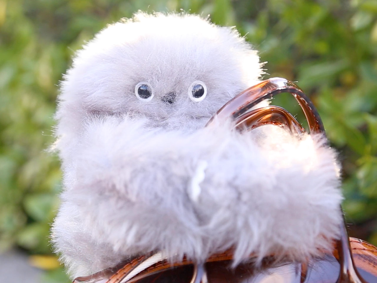 1736202866 910 Decouvrez le Robot Compagnon Adorable et Timide qui Transformera Votre - plare.