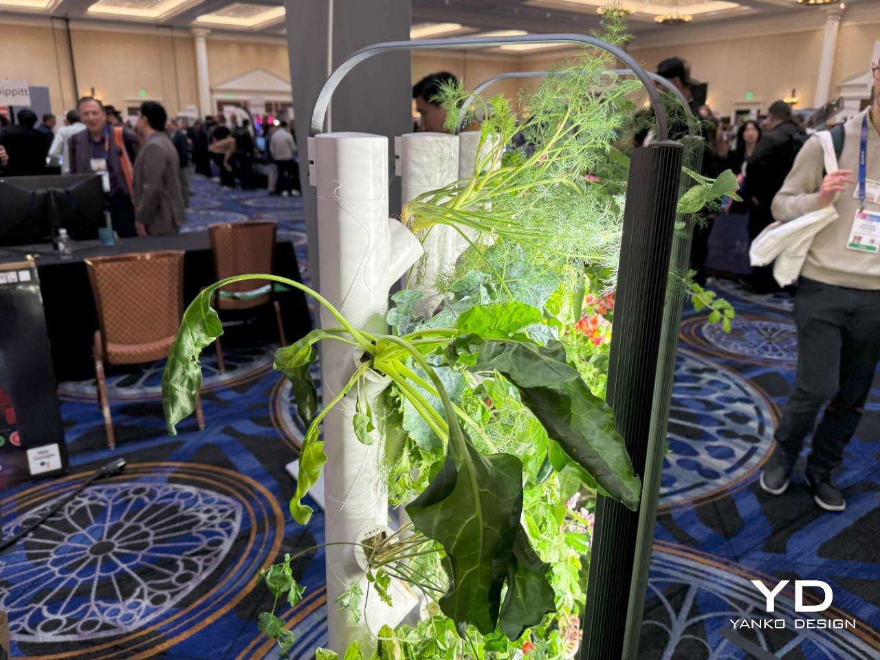 1736736461 776 Decouvrez le Jardiniere Innovante Cultivez Jusqua 30 Plantes Sans - plare.