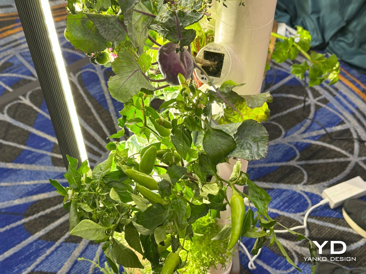 1736736462 10 Decouvrez le Jardiniere Innovante Cultivez Jusqua 30 Plantes Sans - plare.