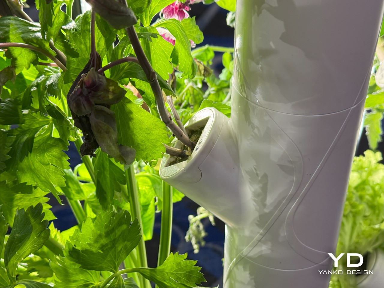 1736736462 514 Decouvrez le Jardiniere Innovante Cultivez Jusqua 30 Plantes Sans - plare.