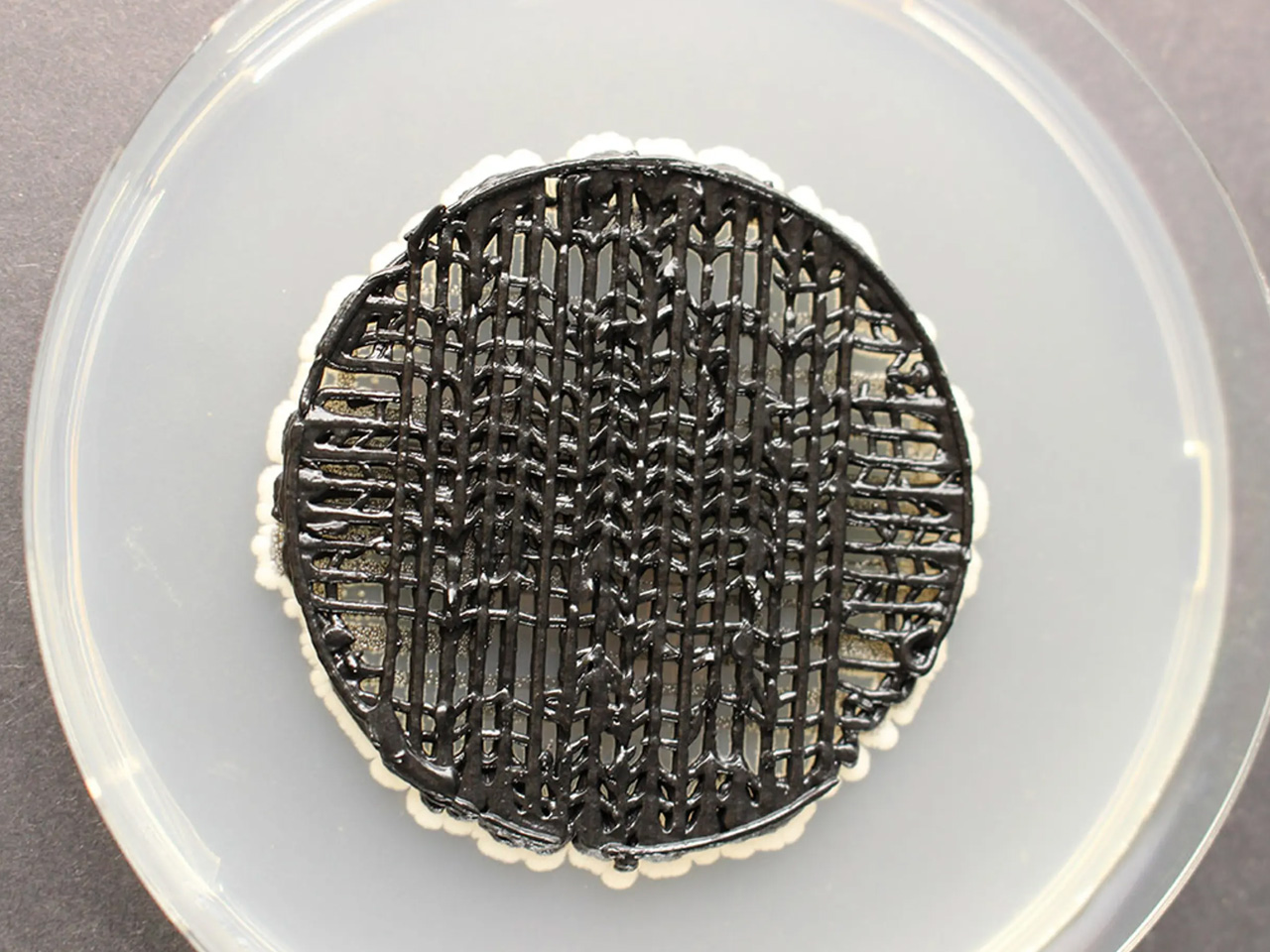 1737502430 106 Decouvrez la Batterie Biodegradable en Fungi qui Revolutionne les Capteurs - plare.