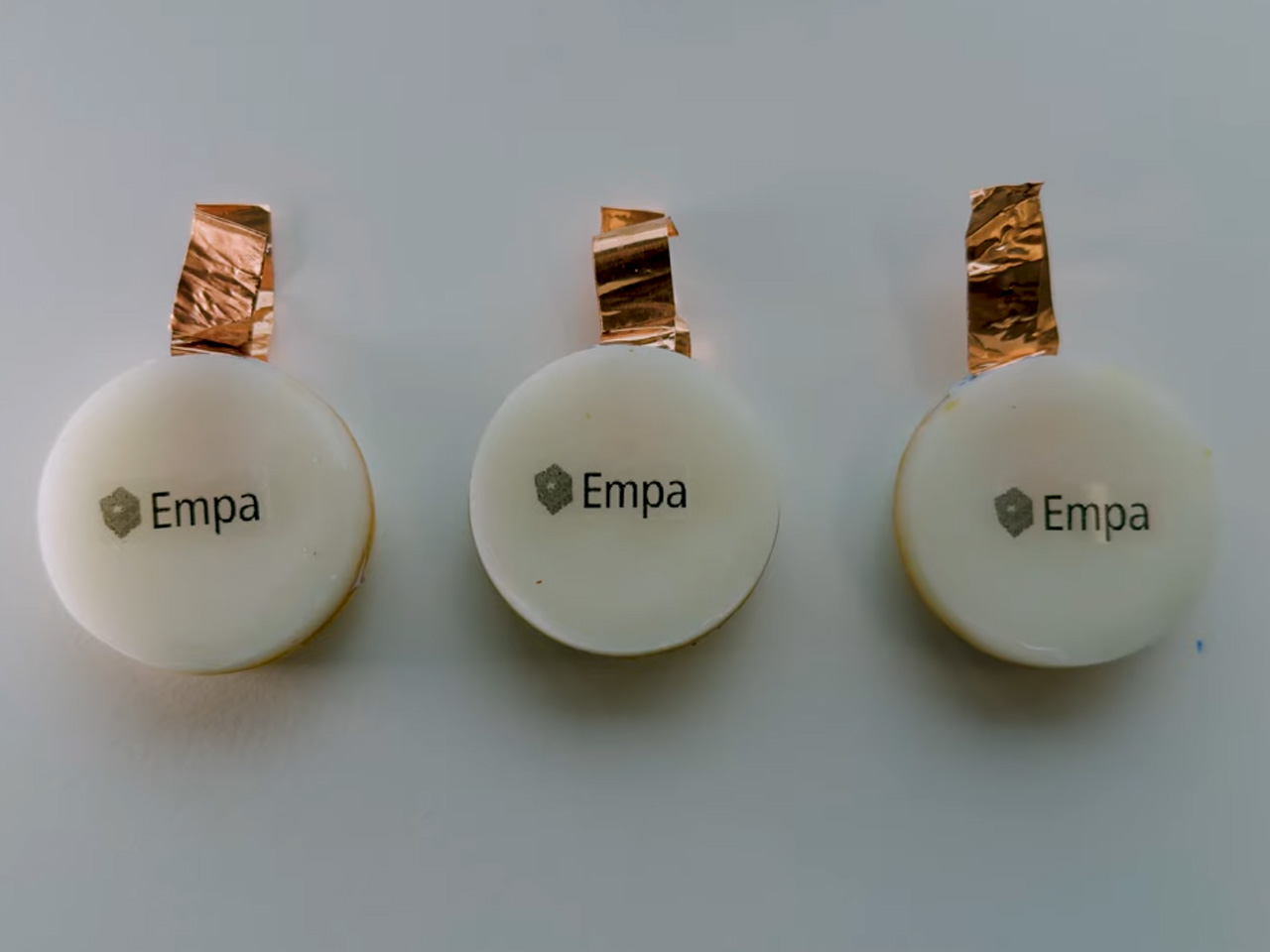 1737502431 919 Decouvrez la Batterie Biodegradable en Fungi qui Revolutionne les Capteurs - plare.