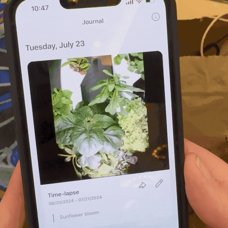 Decouvrez le Jardiniere Innovante Cultivez Jusqua 30 Plantes Sans - plare.