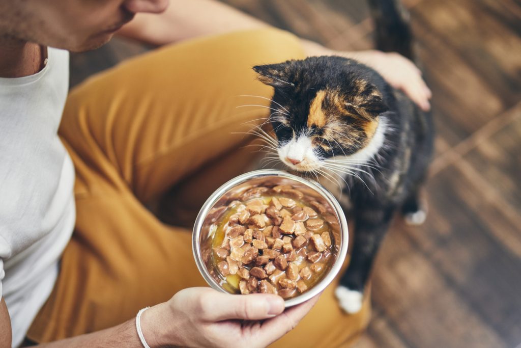 picture alimentaire transition courantes erreurs comment - plare.