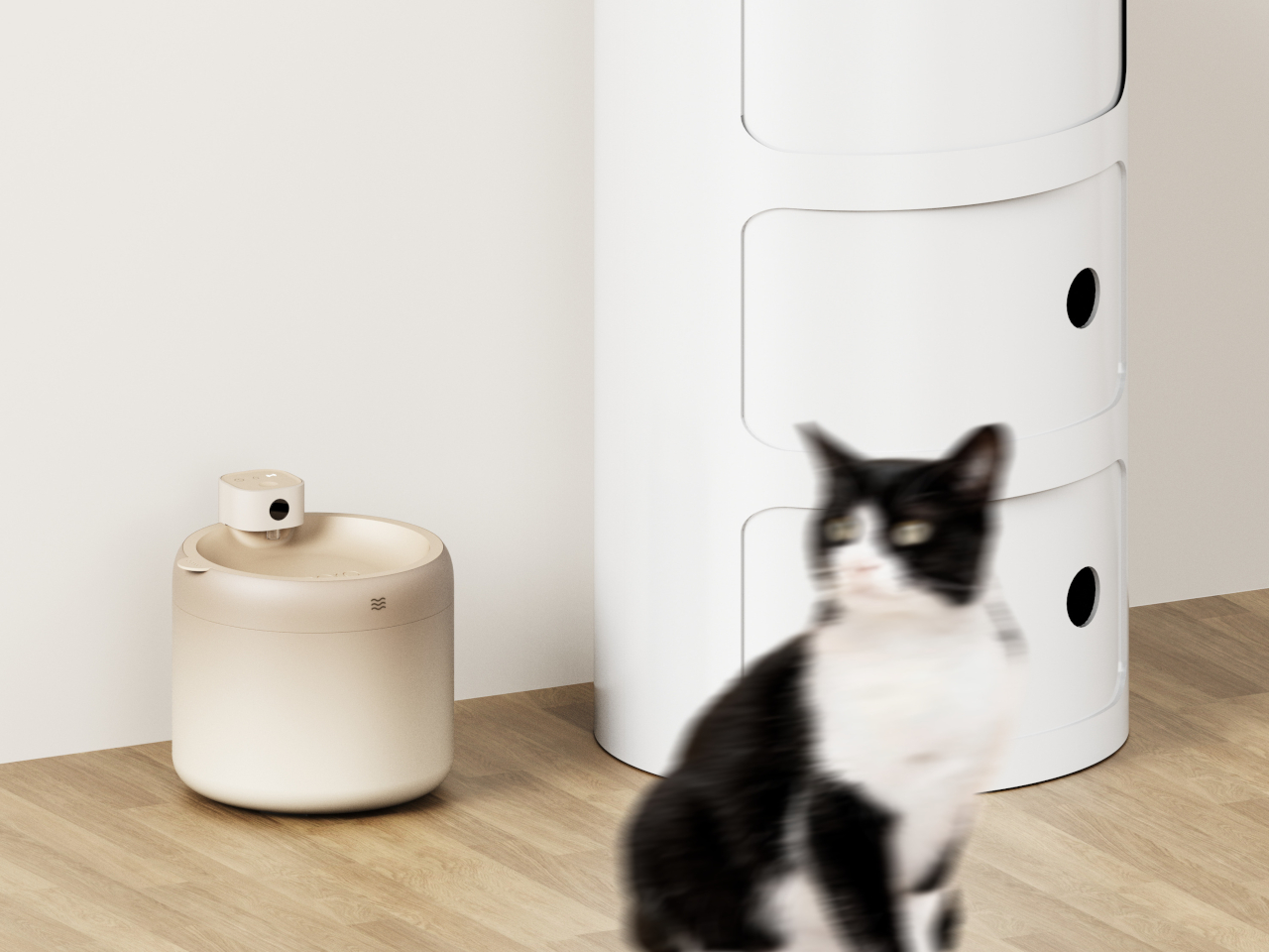 1740410547 871 Decouvrez le Distributeur dEau pour Chats Un Equipement Intelligent - plare.