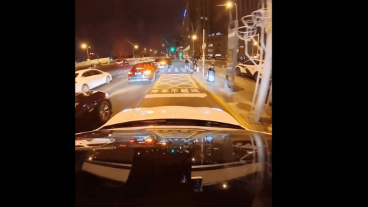 Tesla FSd China - plare.