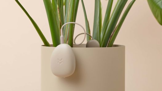 oko soil sensor 05 - plare.