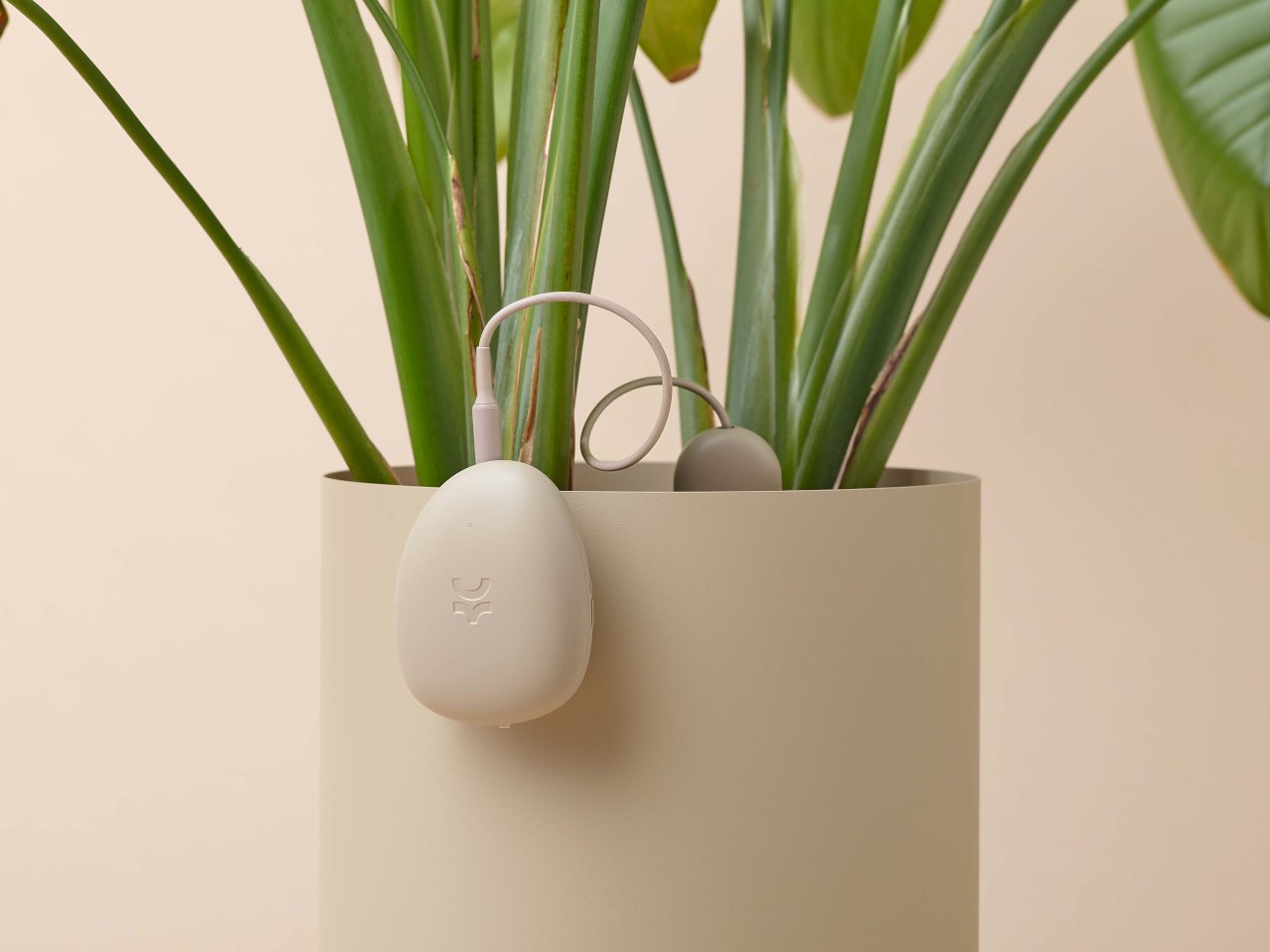 oko soil sensor 05 - plare.