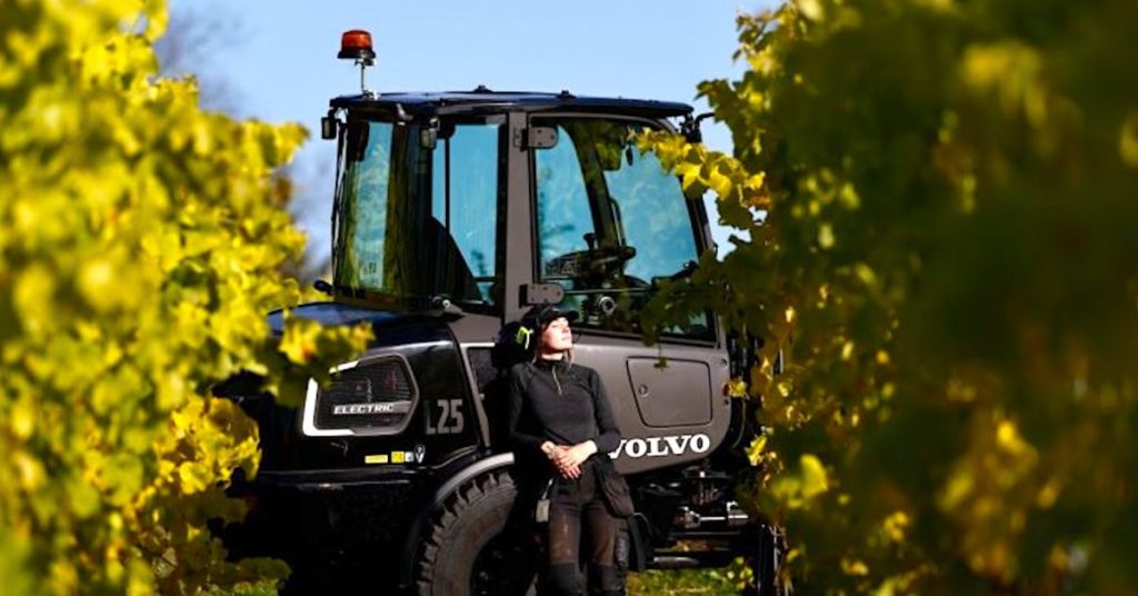 Découvrez comment le chargeur compact électrique Volvo L25 révolutionne ce vignoble bio !