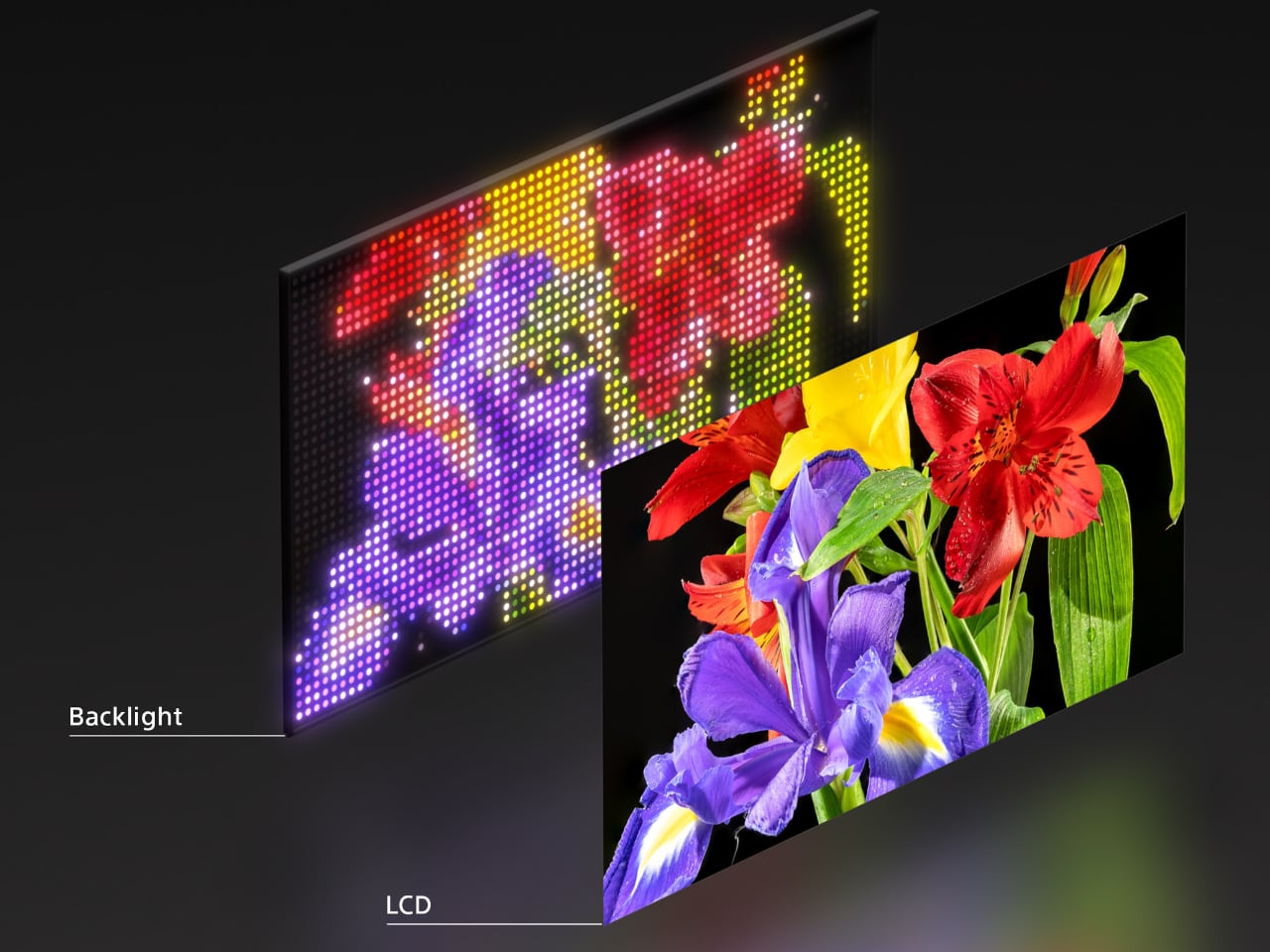 Sony RGB LED TV
