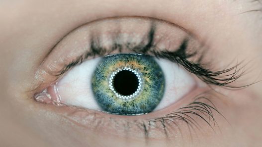 Fall Detection could be coming to Vision Pro Apple Glasses and even smart contact lenses - plare.