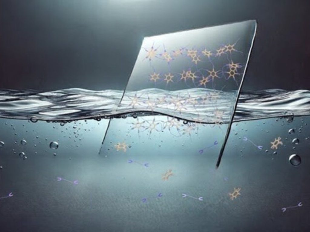 Découvrez le Plastique Écologique Révolutionnaire : La Solution Inattendue Contre la Pollution Microplastique !