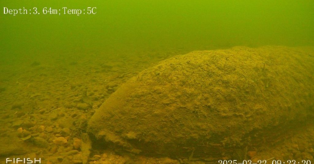 Adolescent de 14 ans fait s'écraser un drone sur une bombe de la Seconde Guerre mondiale [Vidéo]