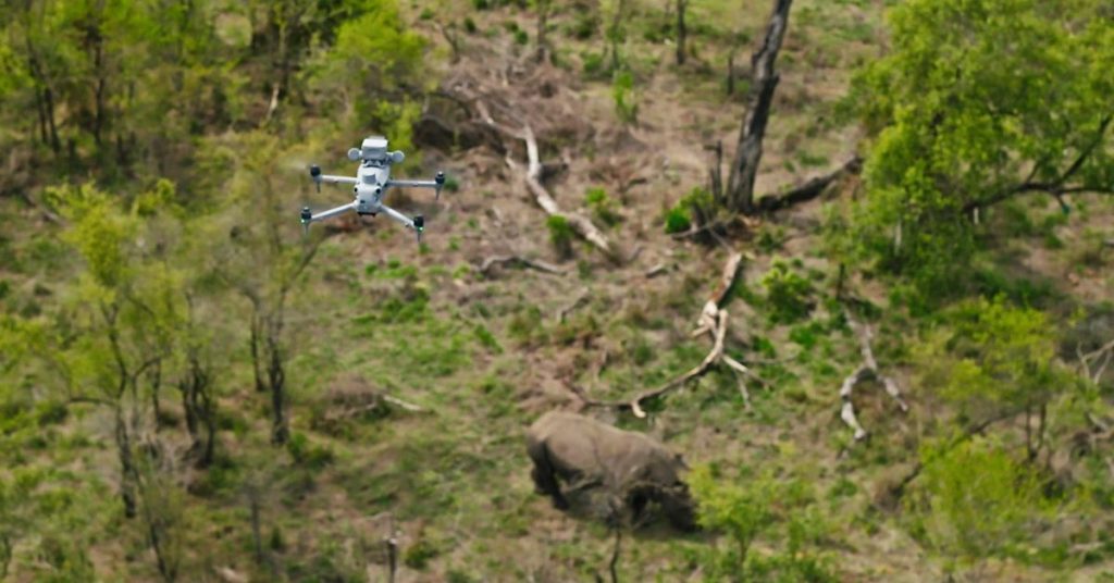 Drones révolutionnaires : comment la technologie aide les rangers à lutter contre le braconnage en Afrique du Sud