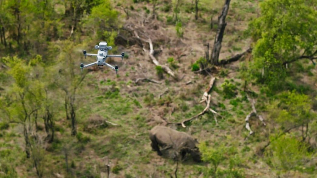 Drones révolutionnaires : comment la technologie aide les rangers à lutter contre le braconnage en Afrique du Sud