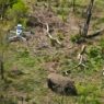 Drones révolutionnaires : comment la technologie aide les rangers à lutter contre le braconnage en Afrique du Sud