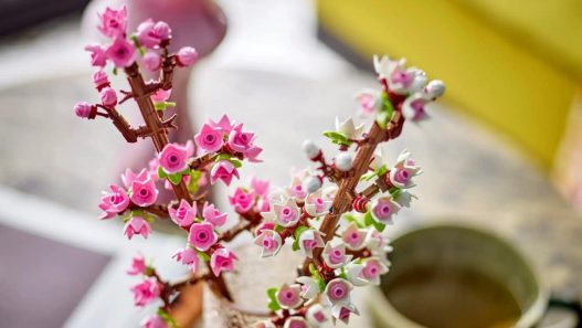 Cherry Blossom home Decor 8 - plare.