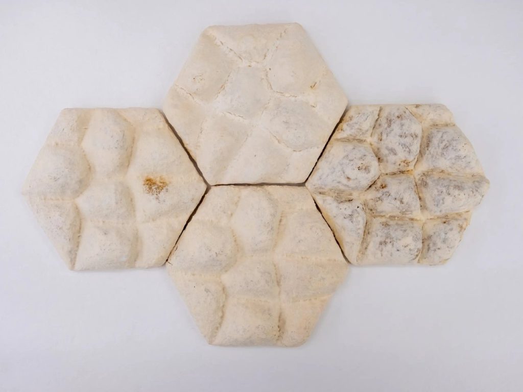 Découvrez comment les carreaux de mycélium ‘Elephant Skin’ révolutionnent le refroidissement des bâtiments !