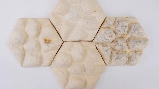 Decouvrez comment les carreaux de mycelium Elephant Skin revolutionnent le - plare.