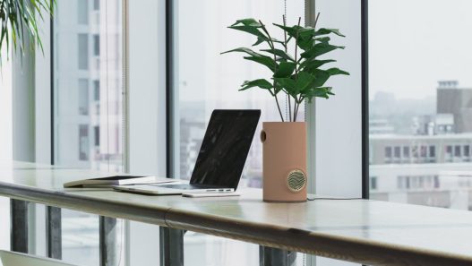 Decouvrez le Concept Innovant du Vase de Bureau et Ventilateur - plare.