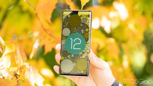 Google met fin aux mises à jour de sécurité pour Android 12 : que cela signifie pour votre appareil ?