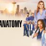 Grey’s Anatomy rinnovato: confermata la stagione 22 per il medical drama più longevo della TV