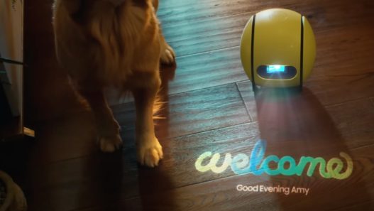 Samsung Ballie Le Robot Suiveur Qui Va Transformer Votre - plare.