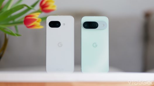 Siblings à distance : comment mieux vivre séparément tout en restant unis [Vidéo]