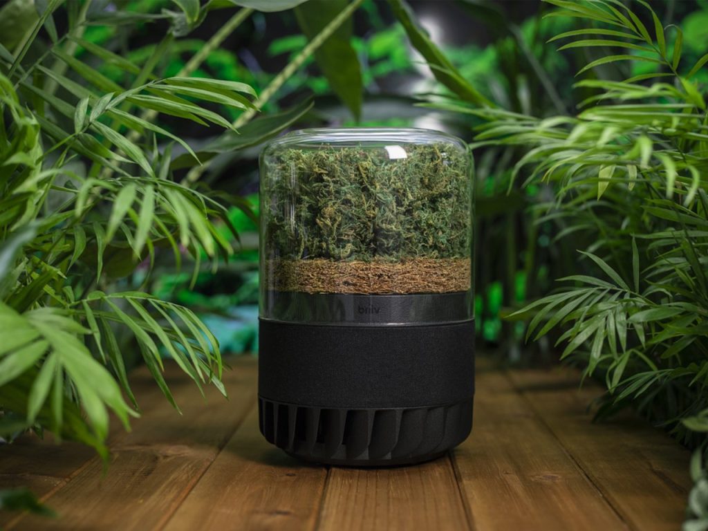 Transformez Votre Espace : 10 Designs Essentiels pour un Nettoyage de Printemps Réussi !