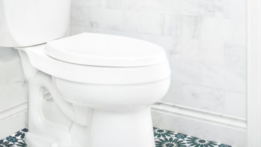 Débouchage de WC : optez pour des solutions professionnelles pour un résultat optimal !