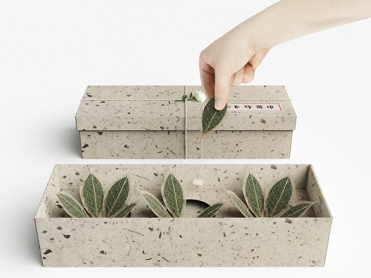 Leaf Vein Tea